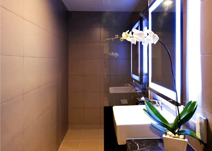 Hotel Euphoria 3*